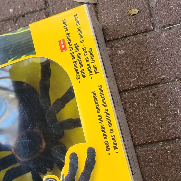 Radio Control Trantula - Picture 2 of 5